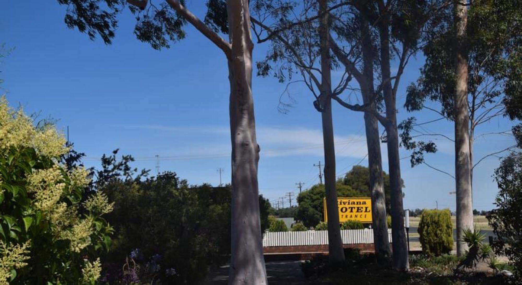 Riviana Motel Deniliquin Ngoại thất bức ảnh